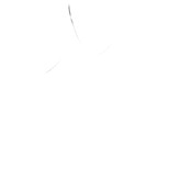 CONTRACT Ladies Tank - you supply 