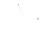 CONTRACT Ladies V-Neck T - you supply